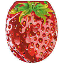 Sanilo siège WC fermeture douce