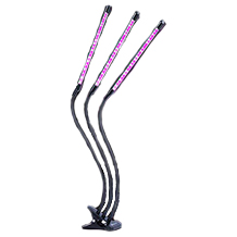 semai lampe pour plantes