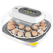 Sailnovo incubateur d'oeufs