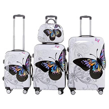 Bagage de voyage